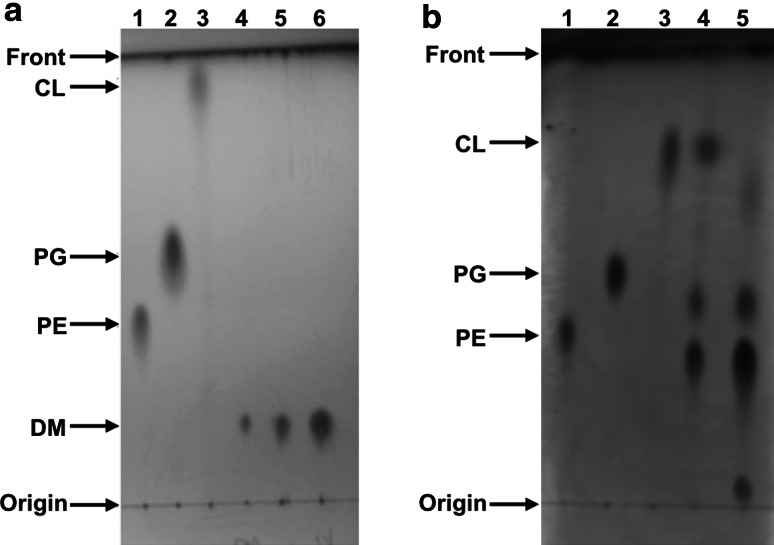 Fig. 5