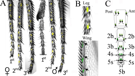 FIGURE 3.