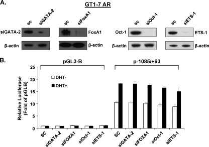 Fig 12