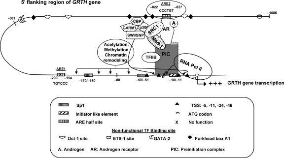 Fig 13