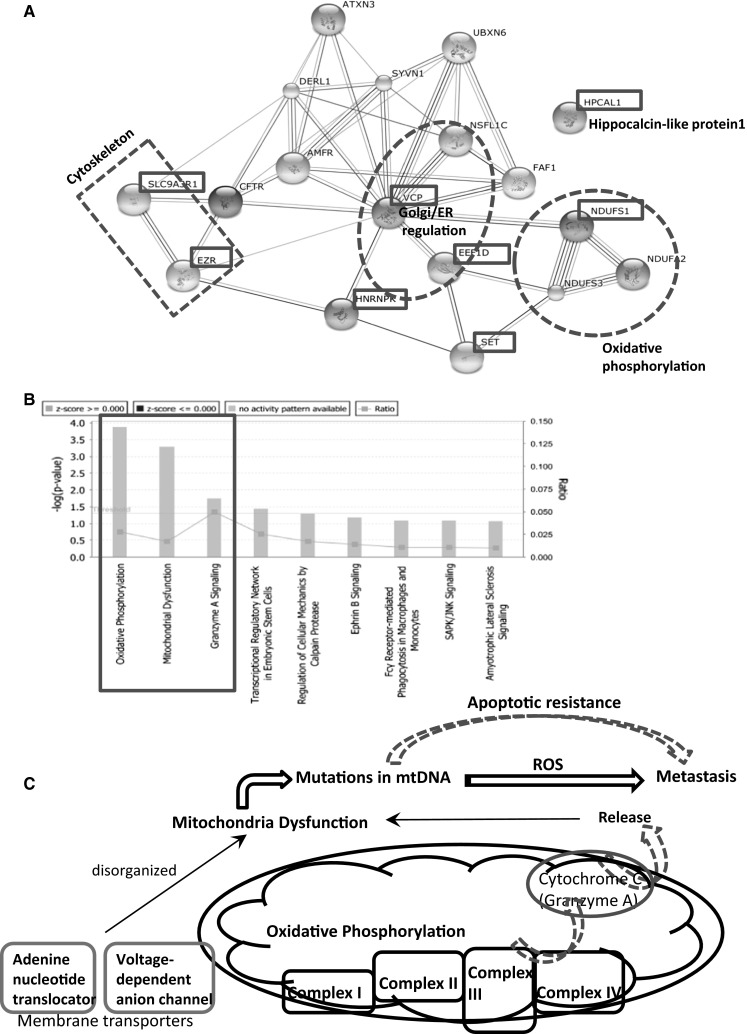 Fig. 6