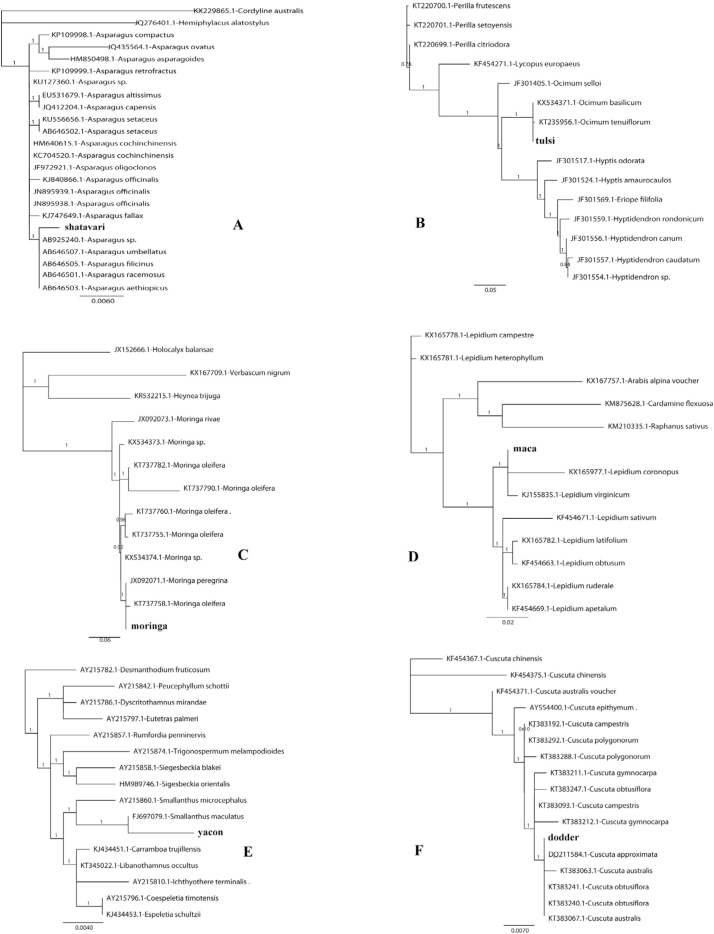 Supplementary Figure