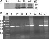 FIG. 6.