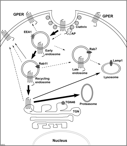 FIGURE 10.