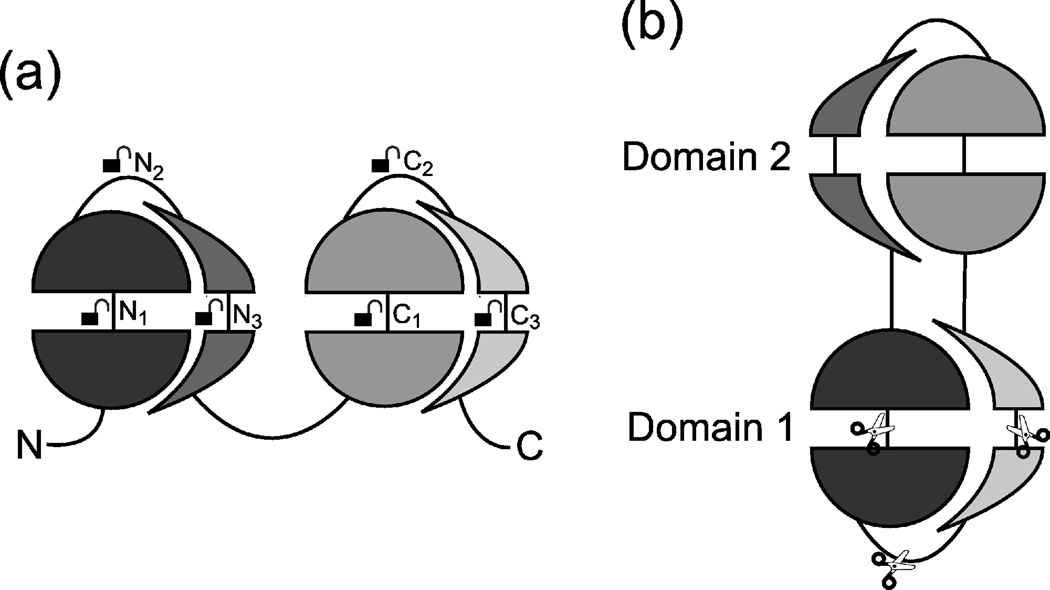 Fig. 5