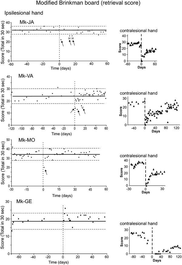 Fig. 2