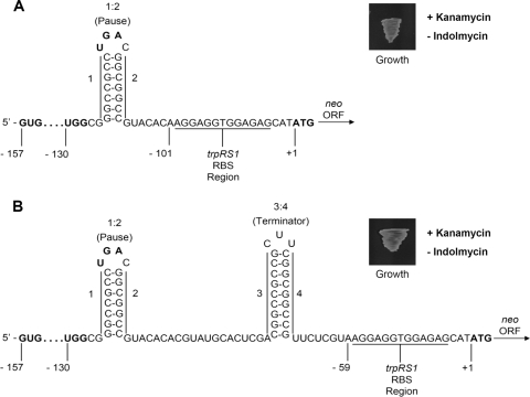 FIG. 3.