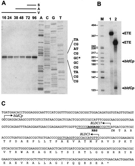 FIG. 8.