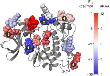 Fig. 6