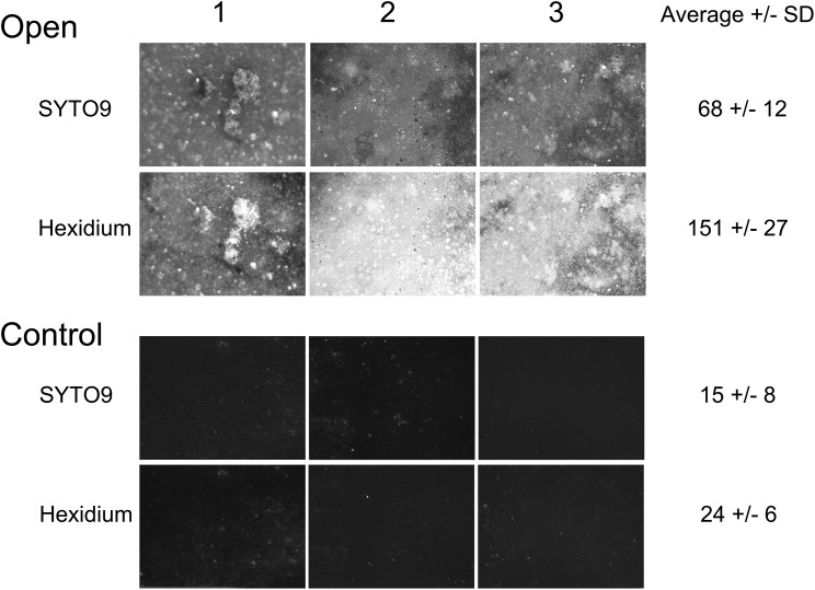 FIGURE 3