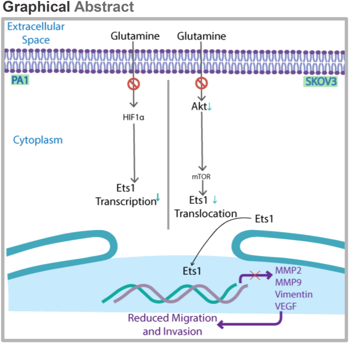 Figure 5