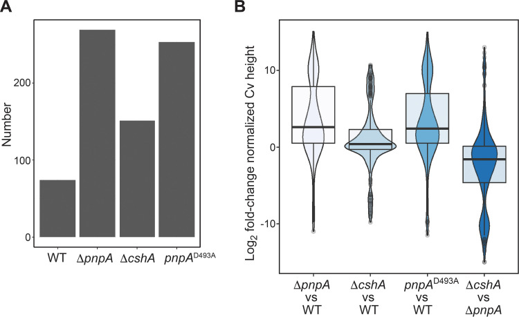 FIG 3