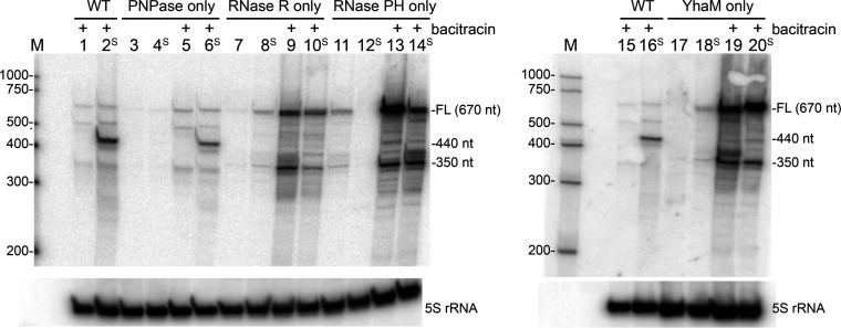 FIG 10