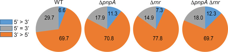 FIG 8