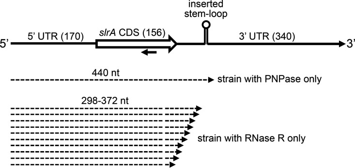 FIG 9