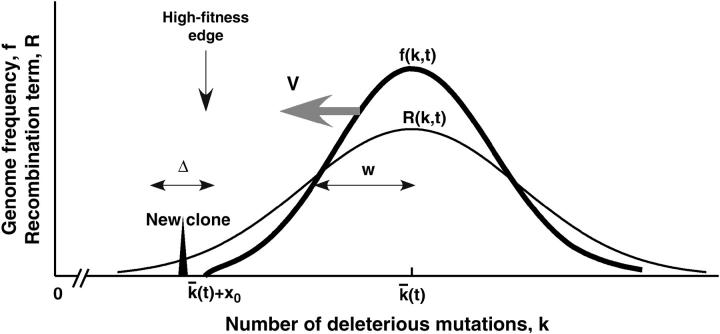 Figure 2.—