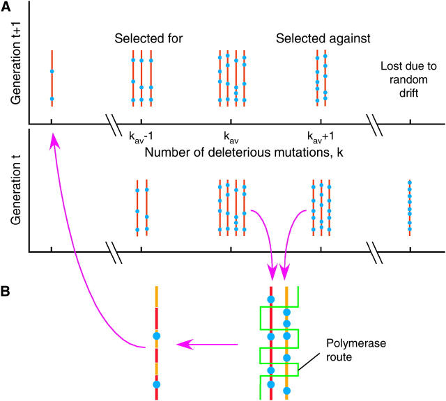 Figure 1.—