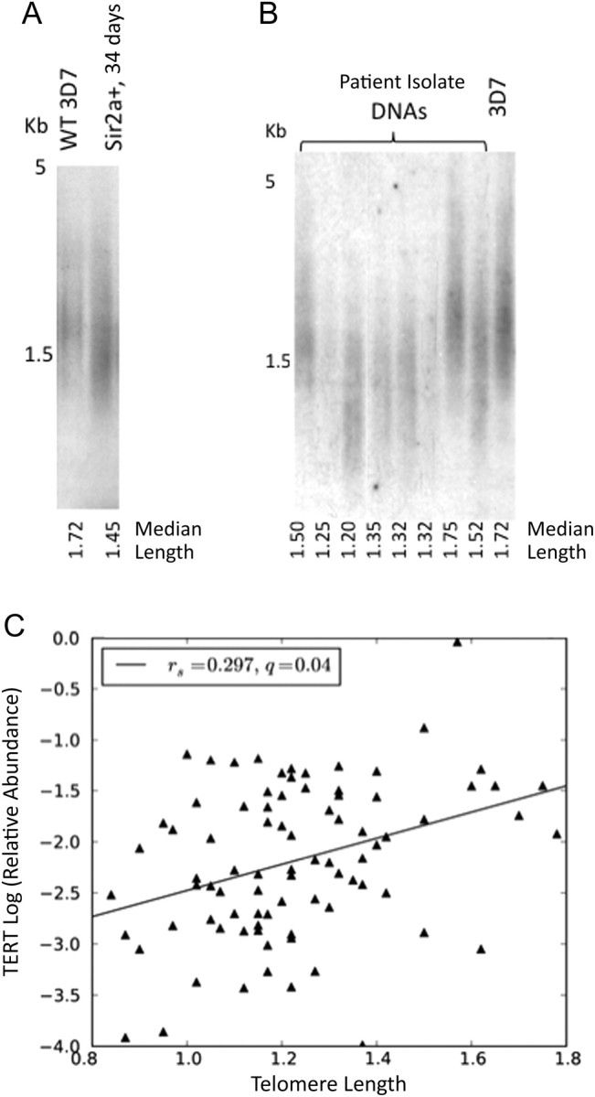 Figure 3.