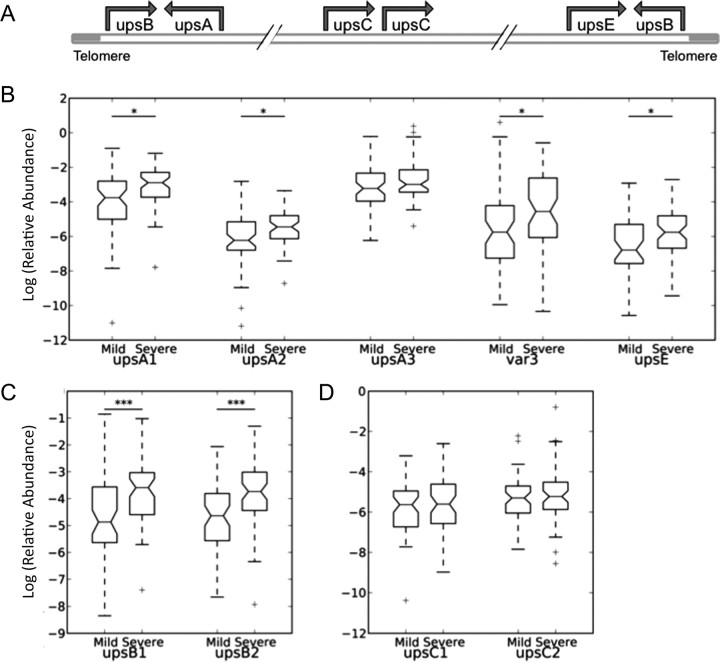 Figure 1.