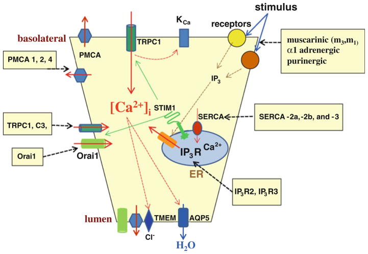 Fig. 1