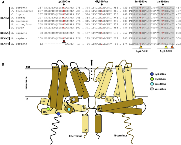 Figure 2