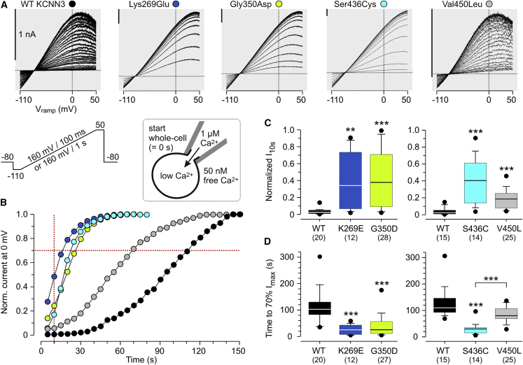 Figure 3