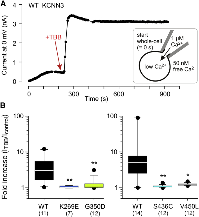 Figure 5