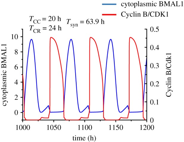 Figure 11.