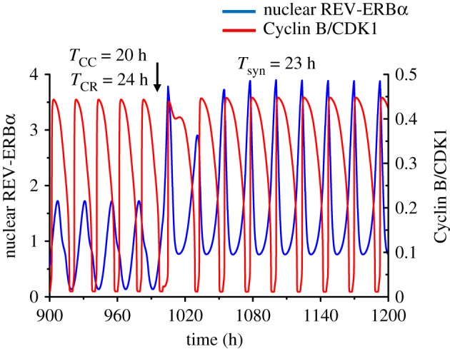 Figure 10.