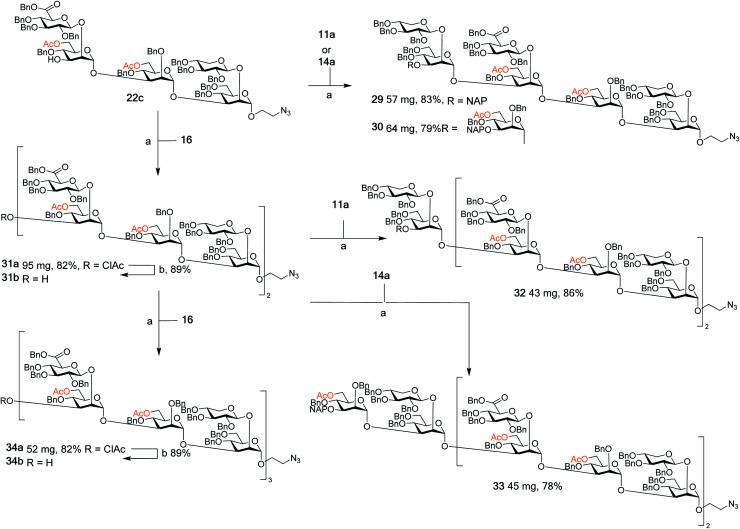 Scheme 4