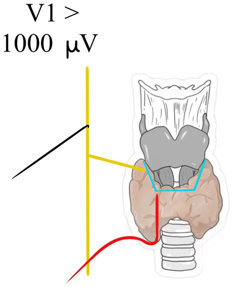 Figure 8.