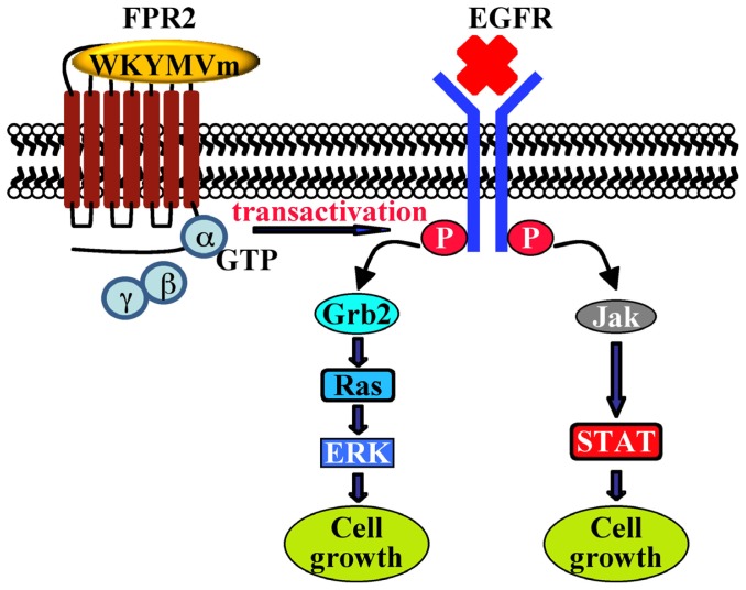 Scheme 5