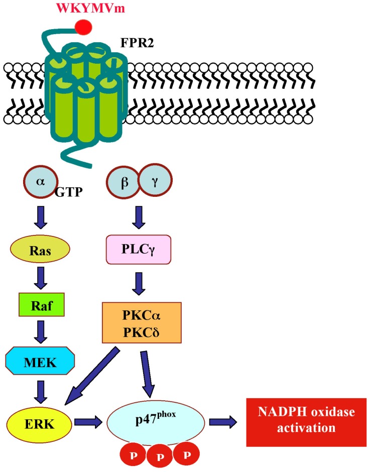 Scheme 3