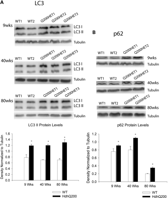 Figure 10.