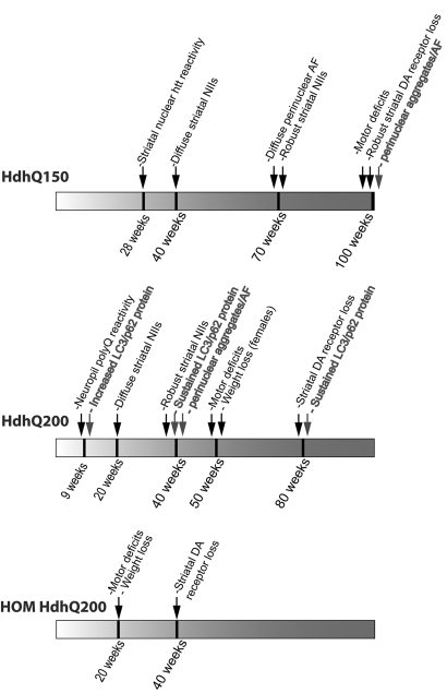 Figure 11.