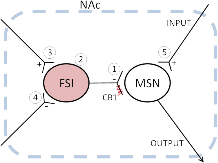 Fig. P1.