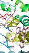 FIGURE 4.