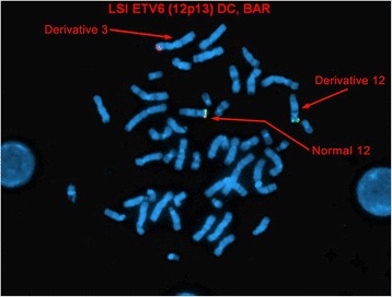 Fig. 4