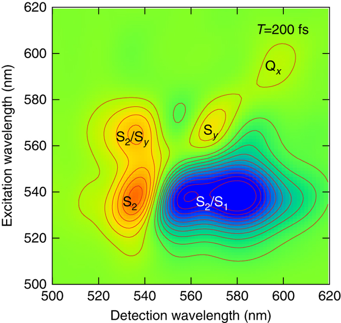 Fig. 6