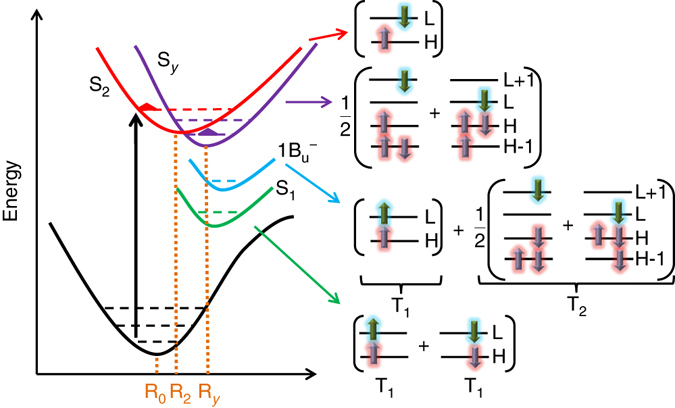 Fig. 3