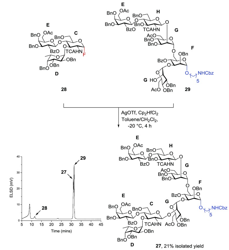 Scheme 3