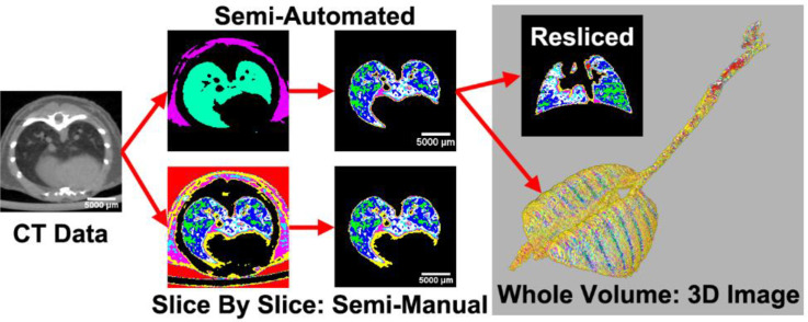 Image, graphical abstract