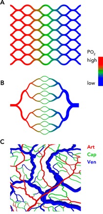 FIGURE 2.