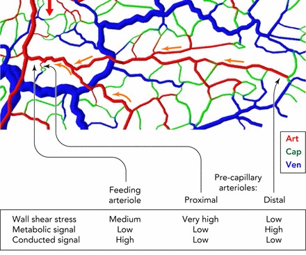 FIGURE 4.