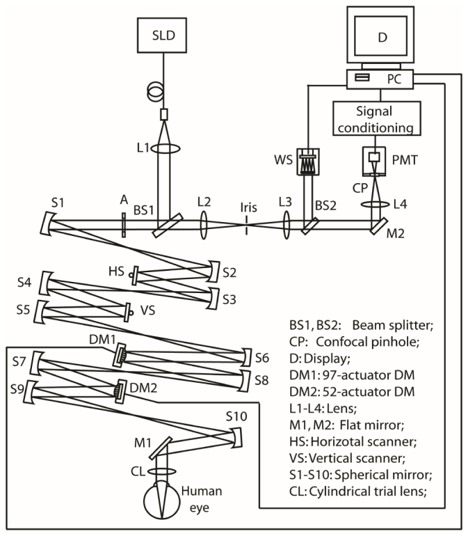 Fig. 1