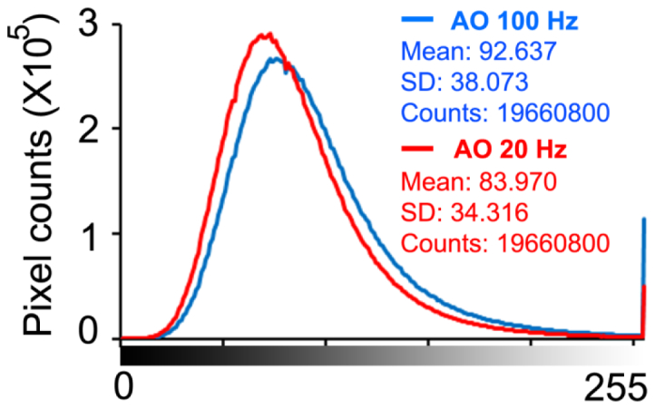 Fig. 13