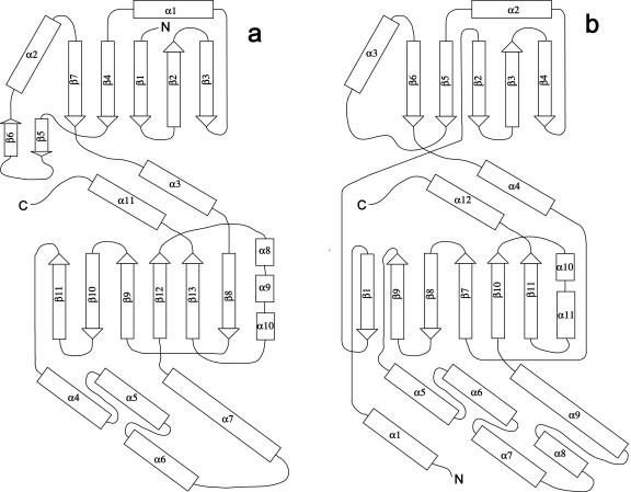 FIG. 5.