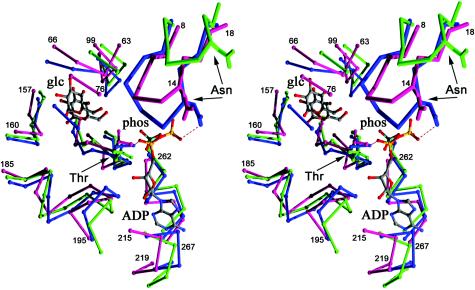 FIG. 8.