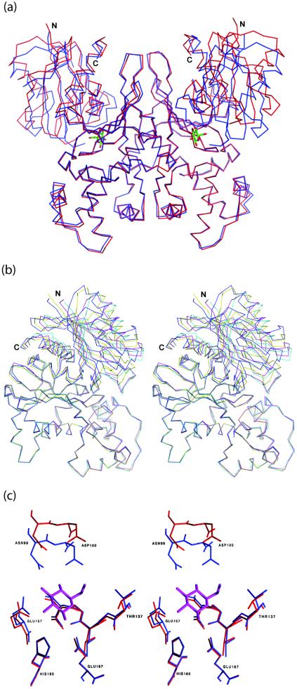 FIG.7.