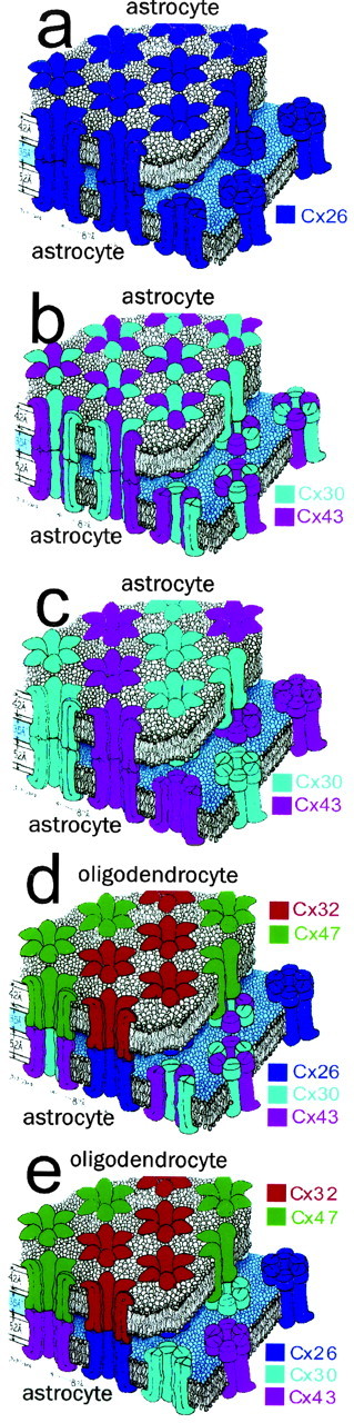 
Figure 10.
